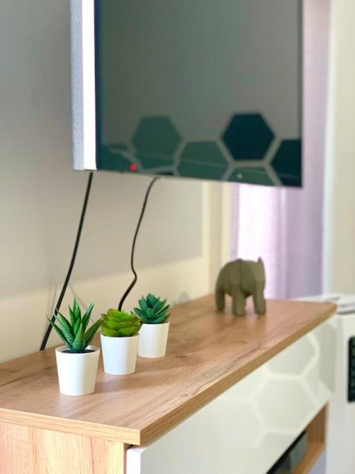 Apartament Esprit Cosy Au Centre Historique Tulon Zewnętrze zdjęcie